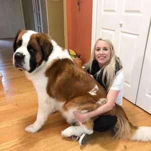 Meet your Posher, Monica